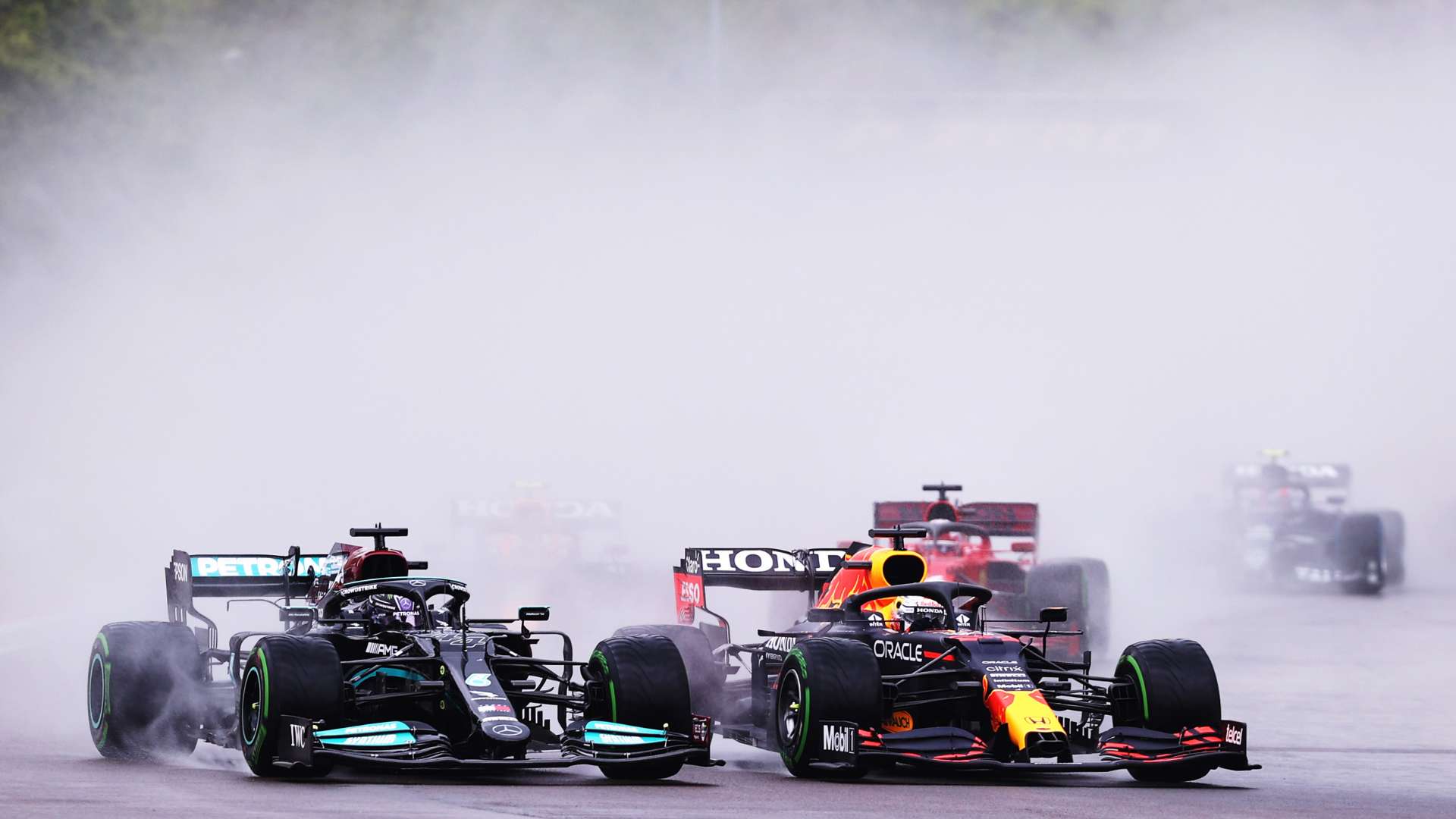 在成年后的 在成年后的